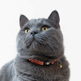 Handmade Leather Cat Collar - Blush