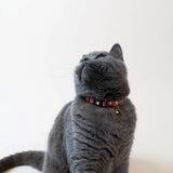 Handmade Leather Cat Collar - Blush