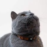 Handmade Leather Cat Collar - Caramel