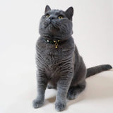 Handmade Leather Cat Collar - Emerald