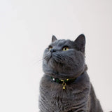 Handmade Leather Cat Collar - Emerald