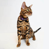 Handmade Leather Cat Collar - Lilac
