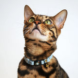 Handmade Leather Cat Collar - Sky