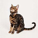 Handmade Leather Cat Collar - Soft Blush