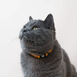Handmade Leather Cat Collar - Honey