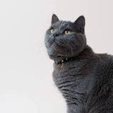 Handmade Leather Cat Collar - Ink