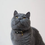 Handmade Leather Cat Collar - Ink