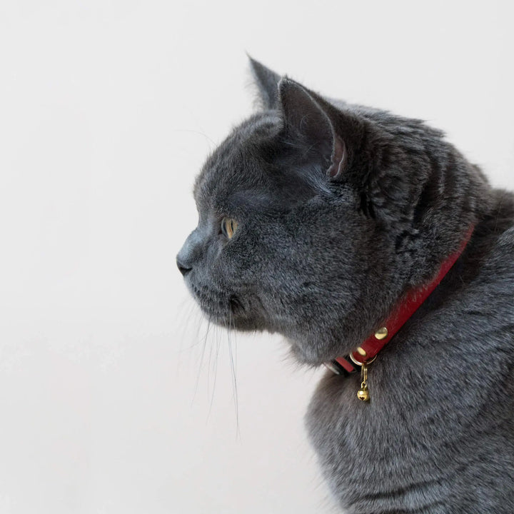 Handmade Leather Collar - Ruby