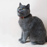 Handmade Leather Cat Collar - Ruby